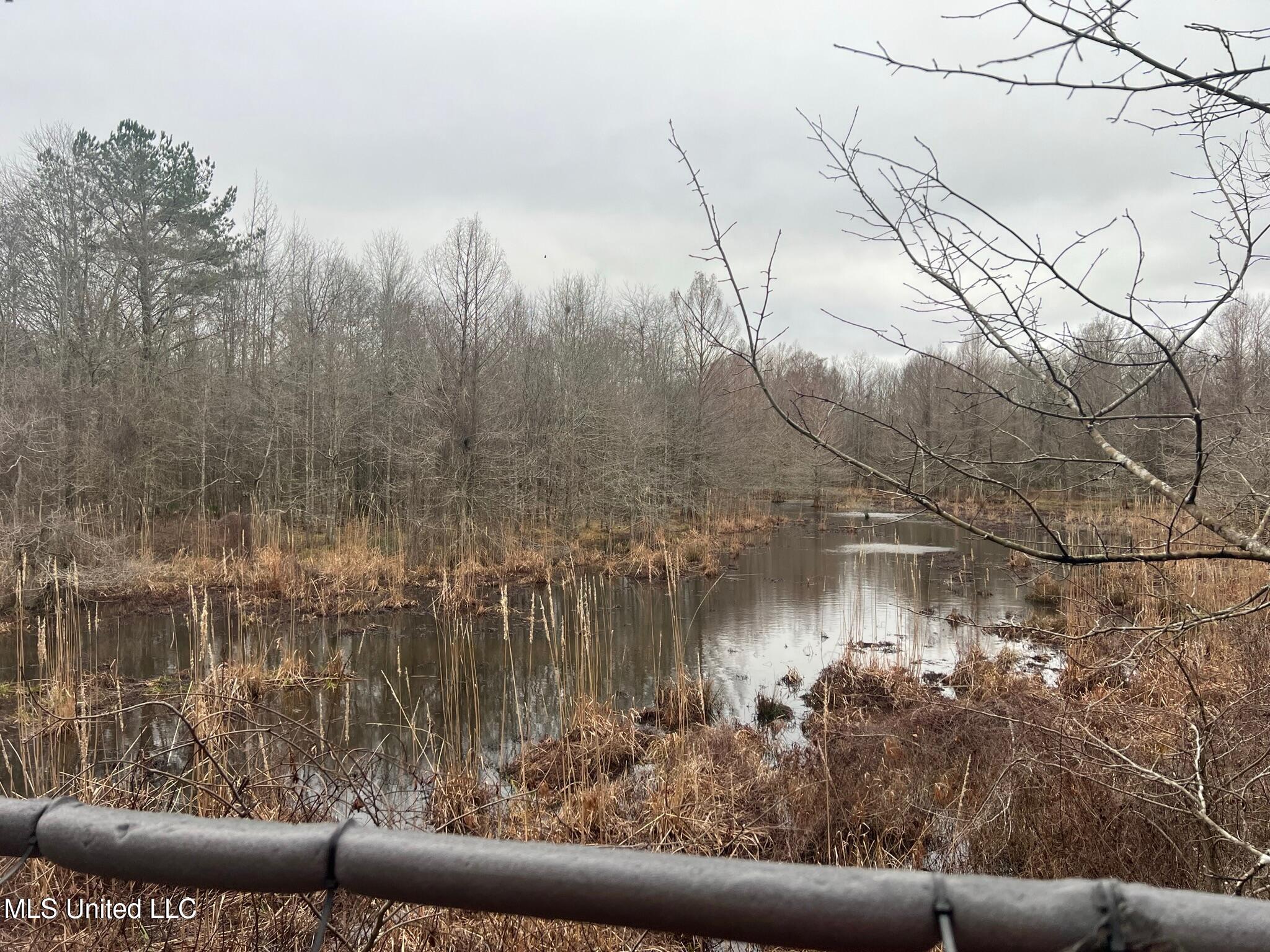 24 Co Road Enterprise, MS 39330 - Photo 48 of 89 IMG_2438