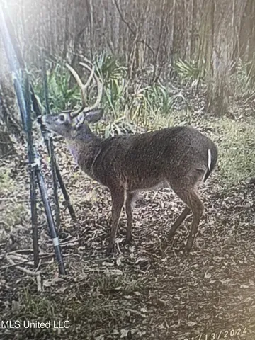 $595,000 | 24 Co Road, Enterprise, MS 39330