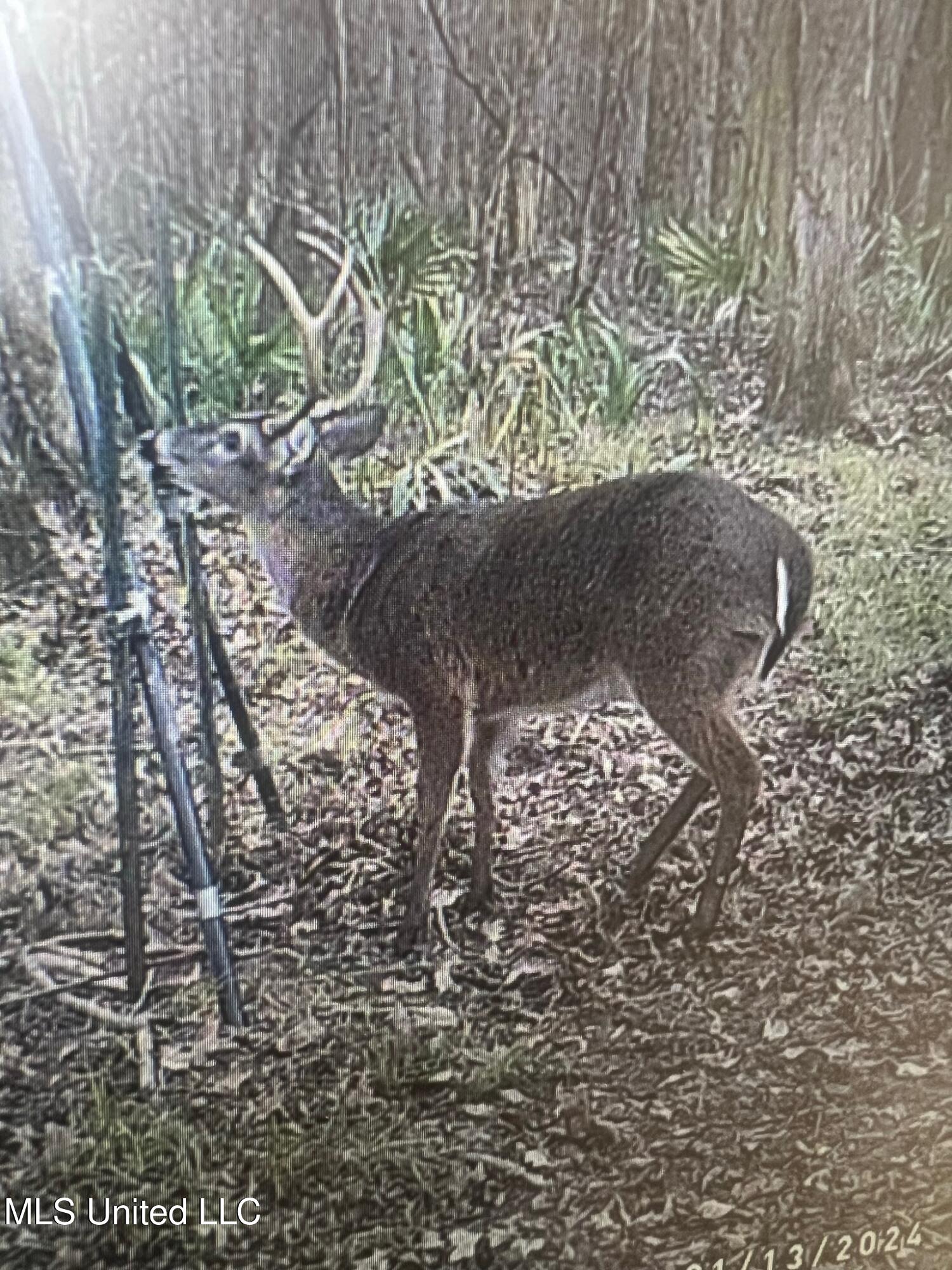 24 Co Road Enterprise, MS 39330 - Photo 49 of 89 IMG_2505