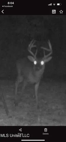 $595,000 | 24 Co Road, Enterprise, MS 39330