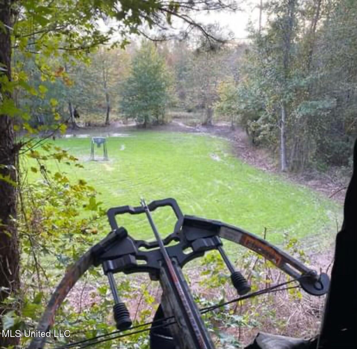 24 Co Road Enterprise, MS 39330 - Photo 52 of 89 IMG_3309