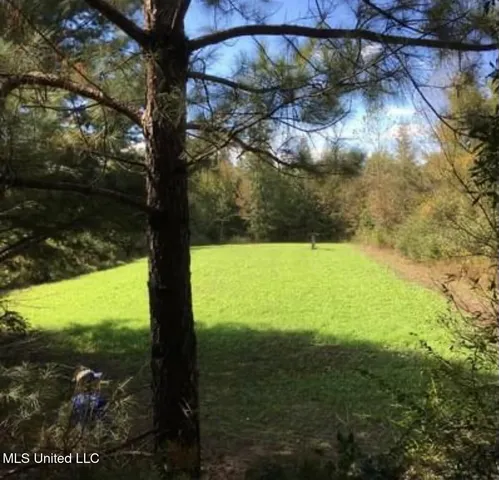 $595,000 | 24 Co Road, Enterprise, MS 39330