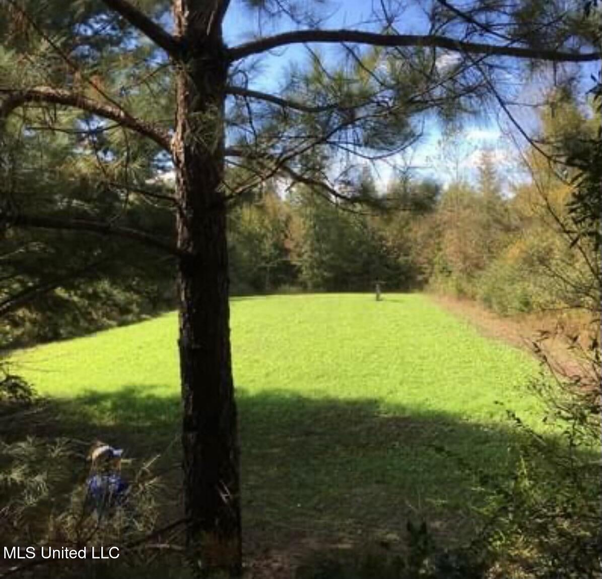 24 Co Road Enterprise, MS 39330 - Photo 53 of 89 IMG_3311