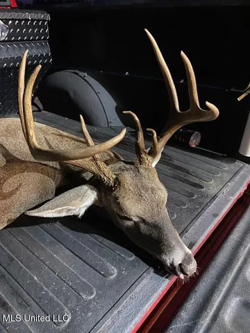 $595,000 | 24 Co Road, Enterprise, MS 39330