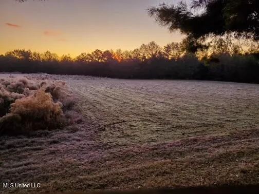 $595,000 | 24 Co Road, Enterprise, MS 39330