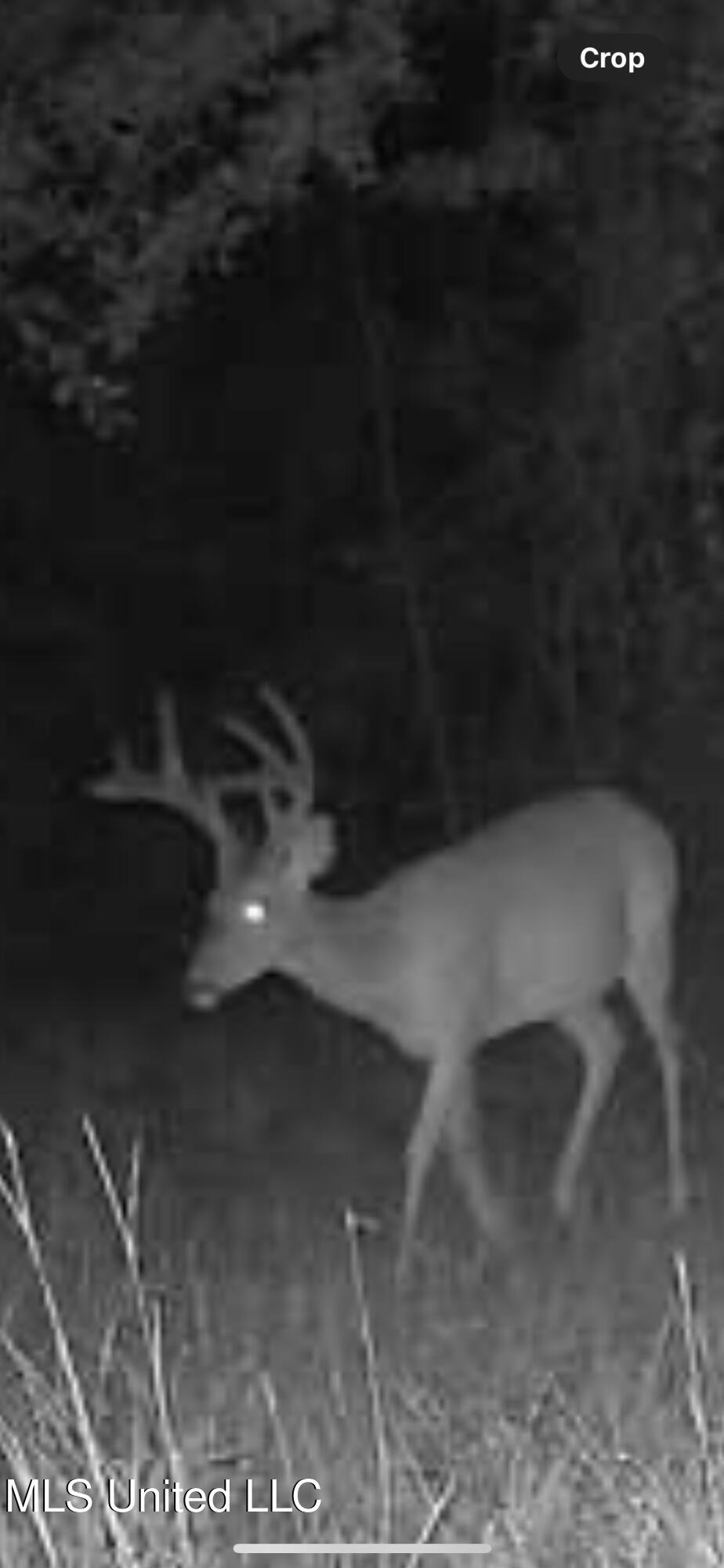 24 Co Road Enterprise, MS 39330 - Photo 58 of 89 IMG_4735