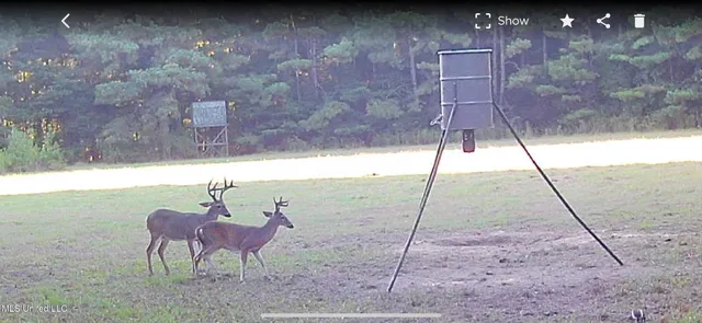 $595,000 | 24 Co Road, Enterprise, MS 39330