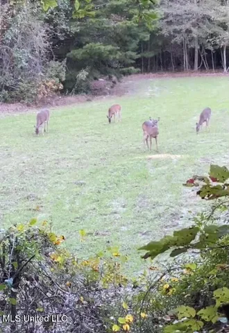 $595,000 | 24 Co Road, Enterprise, MS 39330