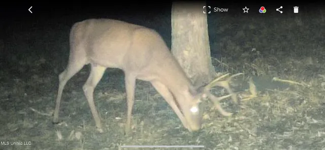 $595,000 | 24 Co Road, Enterprise, MS 39330