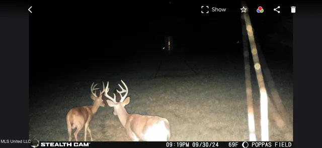 $595,000 | 24 Co Road, Enterprise, MS 39330