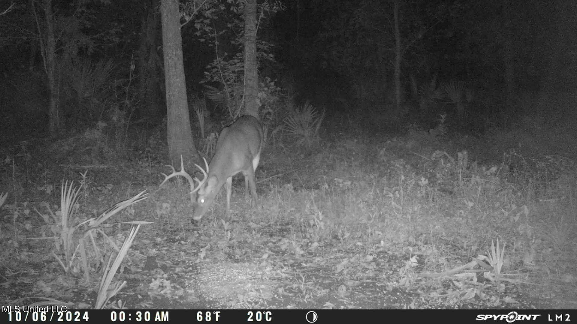 24 Co Road Enterprise, MS 39330 - Photo 64 of 89 IMG_5813