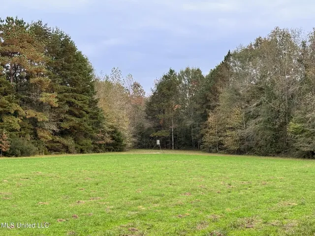 $595,000 | 24 Co Road, Enterprise, MS 39330