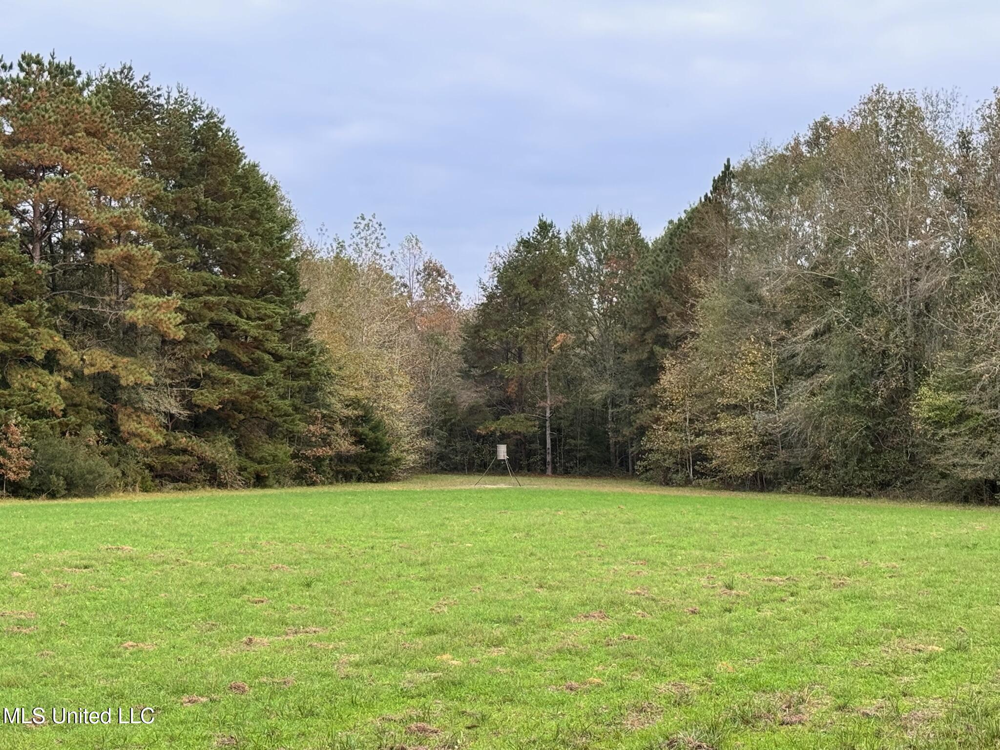 24 Co Road Enterprise, MS 39330 - Photo 66 of 89 IMG_6397