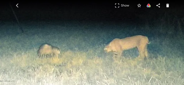 $595,000 | 24 Co Road, Enterprise, MS 39330