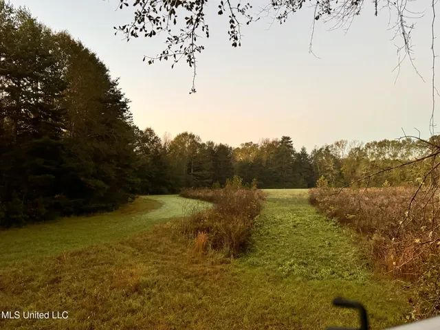 $595,000 | 24 Co Road, Enterprise, MS 39330