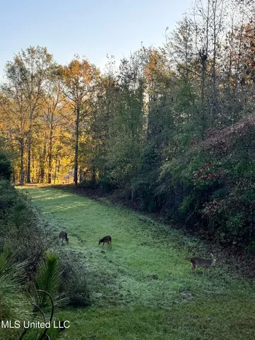 $595,000 | 24 Co Road, Enterprise, MS 39330