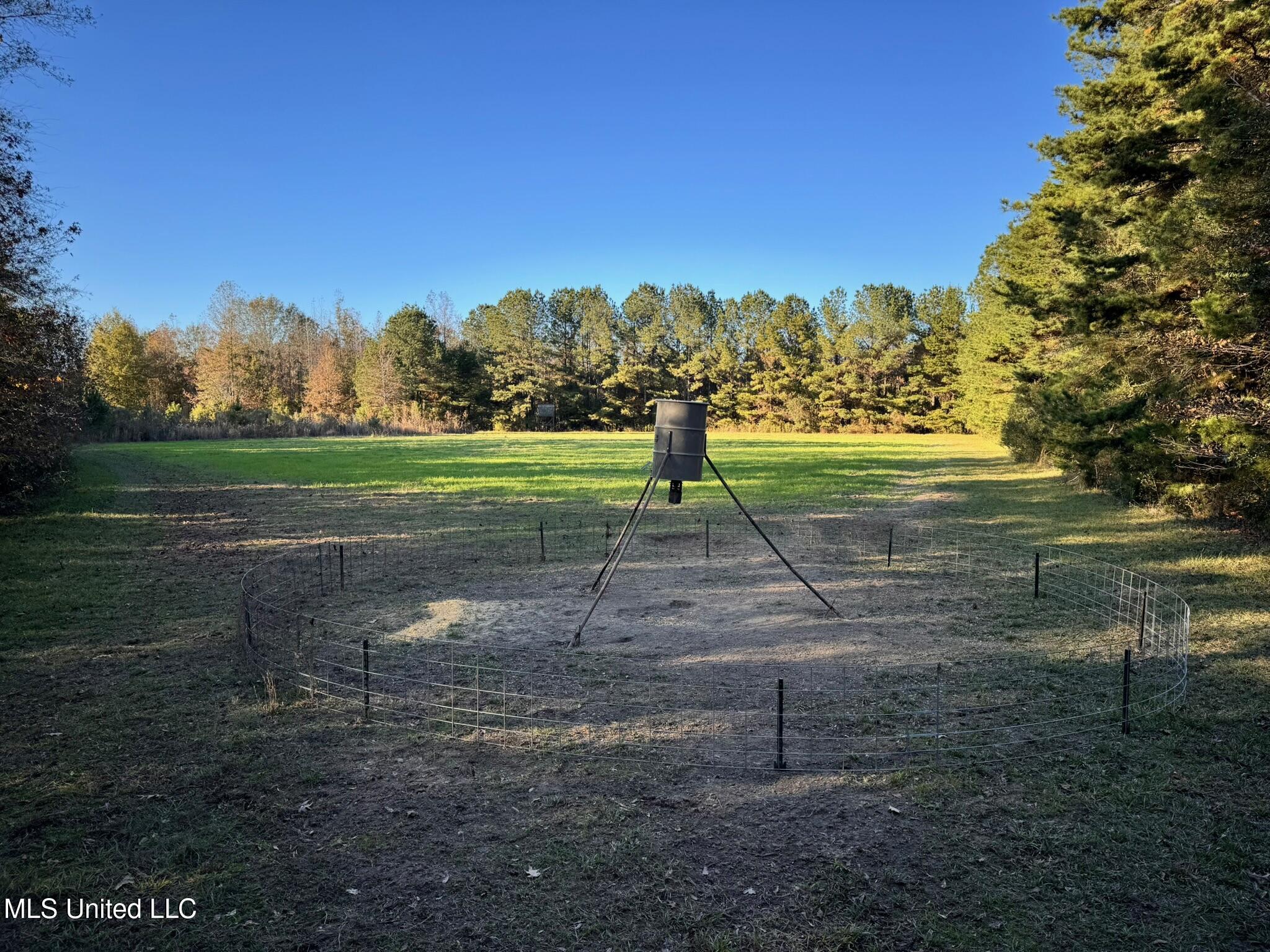 24 Co Road Enterprise, MS 39330 - Photo 75 of 89 IMG_7568