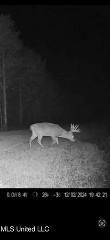 $595,000 | 24 Co Road, Enterprise, MS 39330