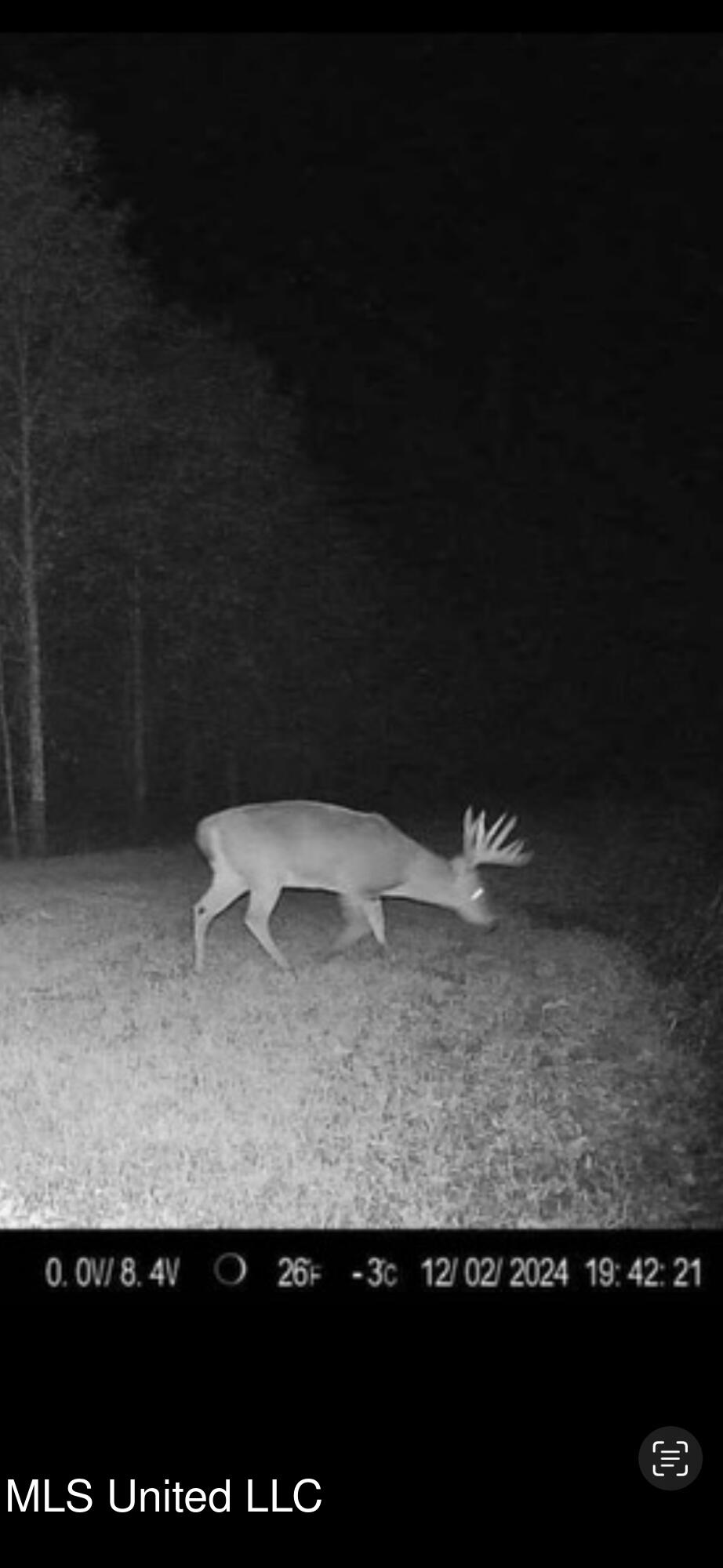 24 Co Road Enterprise, MS 39330 - Photo 76 of 89 IMG_7579