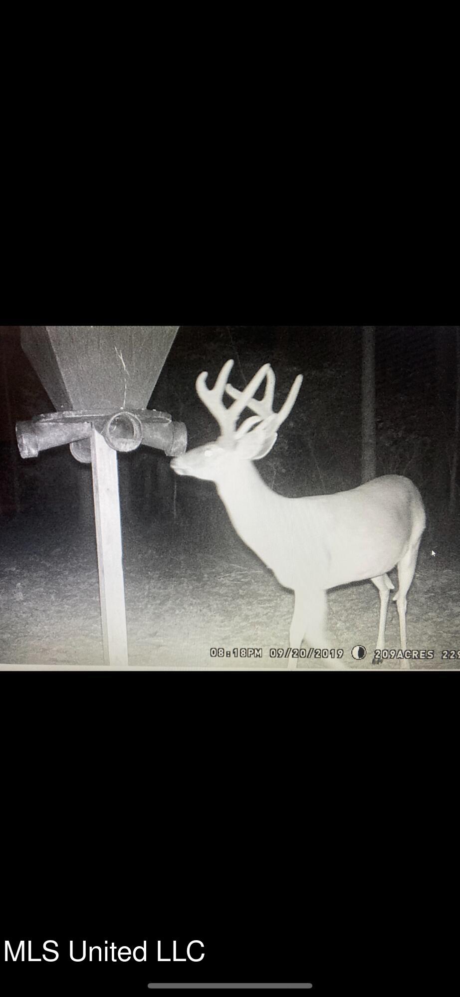 24 Co Road Enterprise, MS 39330 - Photo 79 of 89 IMG_8158