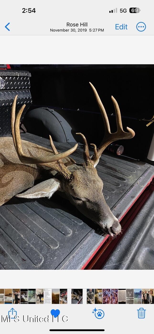 24 Co Road Enterprise, MS 39330 - Photo 80 of 89 IMG_8160