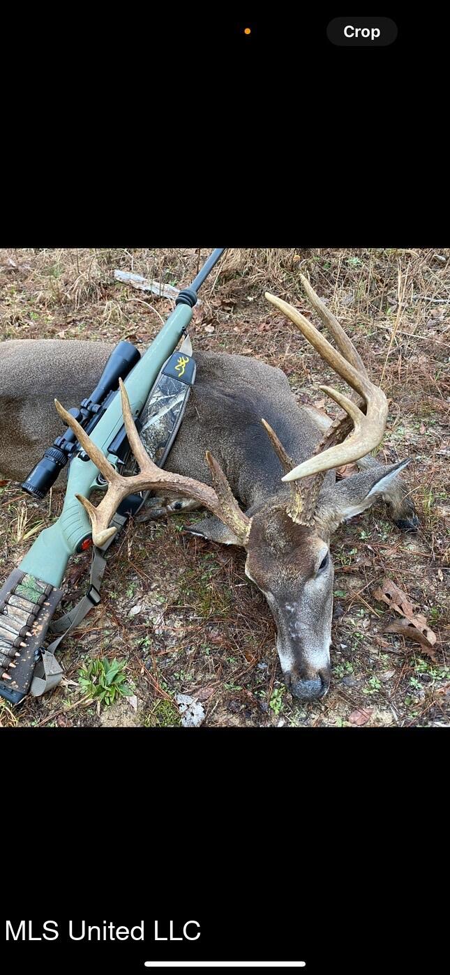 24 Co Road Enterprise, MS 39330 - Photo 81 of 89 IMG_8161