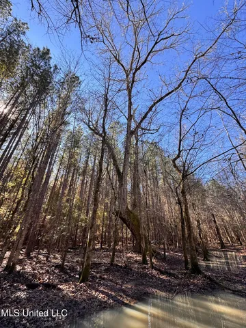 $595,000 | 24 Co Road, Enterprise, MS 39330