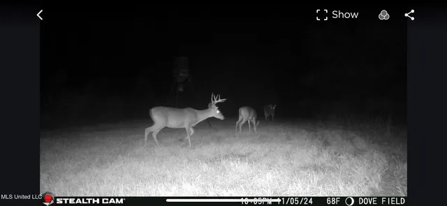 $595,000 | 24 Co Road, Enterprise, MS 39330