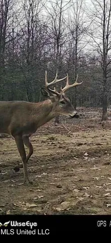 $595,000 | 24 Co Road, Enterprise, MS 39330