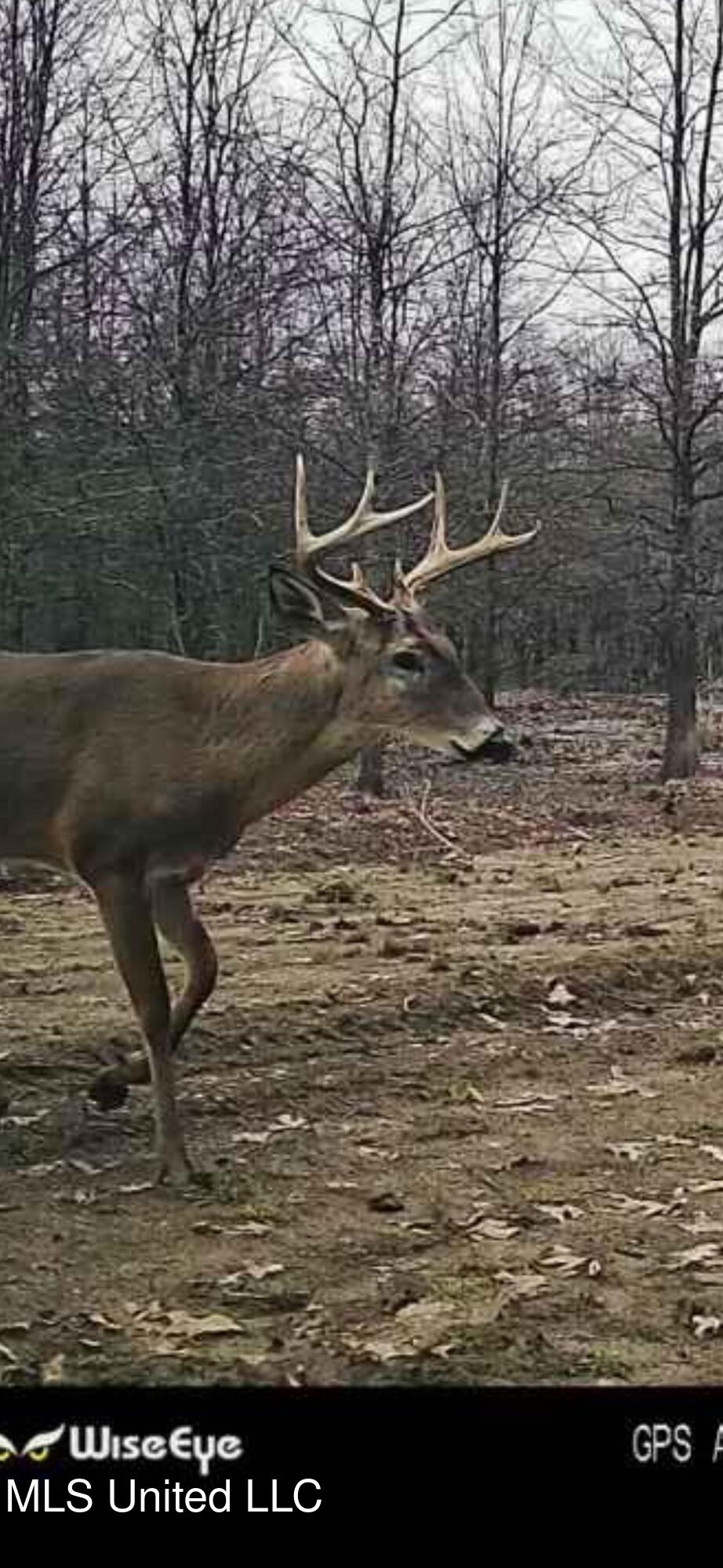 24 Co Road Enterprise, MS 39330 - Photo 86 of 89 IMG_8916