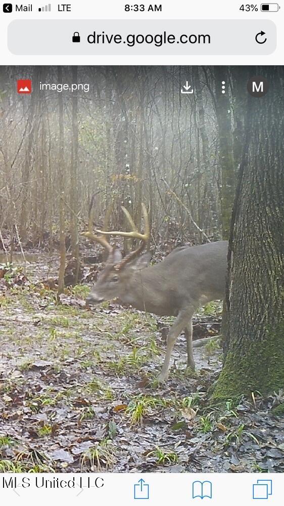 24 Co Road Enterprise, MS 39330 - Photo 87 of 89 IMG_9177