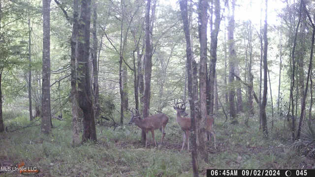 $595,000 | 24 Co Road, Enterprise, MS 39330