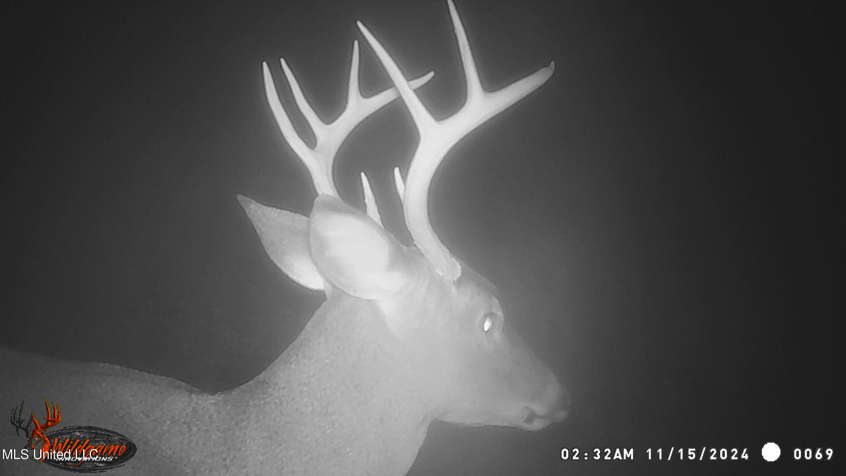 24 Co Road Enterprise, MS 39330 - Photo 89 of 89 WGI_0069