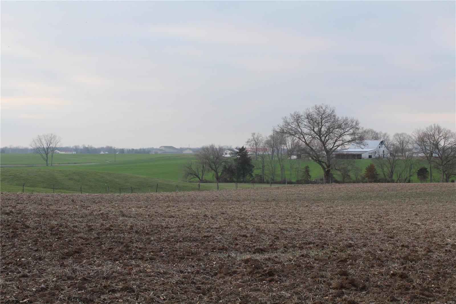 0 Huntfield Road Red Bud, IL 62278 - Photo 12 of 19