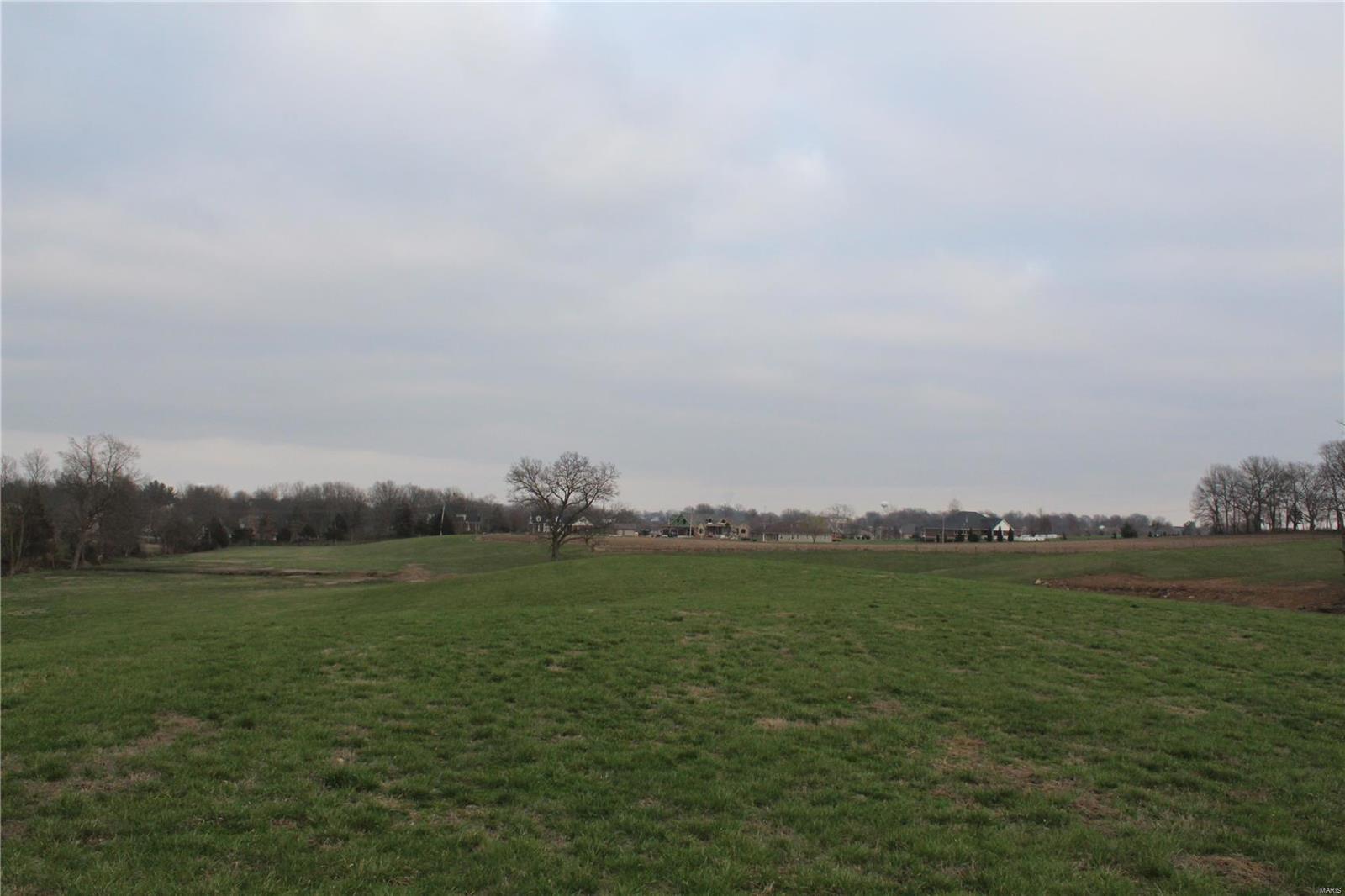 0 Huntfield Road Red Bud, IL 62278 - Photo 4 of 19