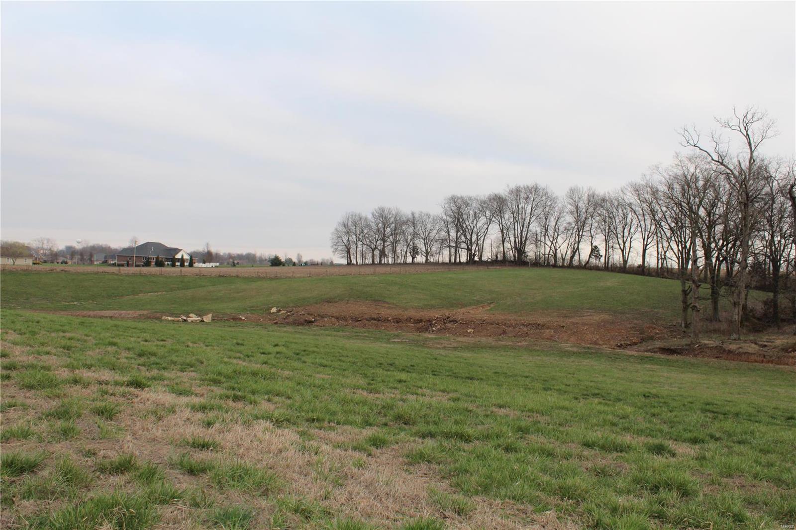 0 Huntfield Road Red Bud, IL 62278 - Photo 7 of 19