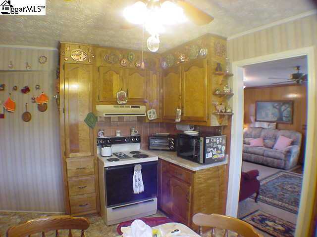 1091 Jackson Grove Road Travelers Rest, SC 29690 - Photo 6 of 19