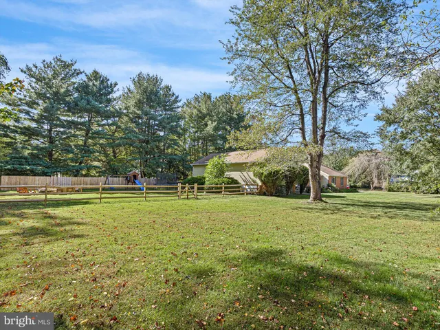a view of a trees in a yard