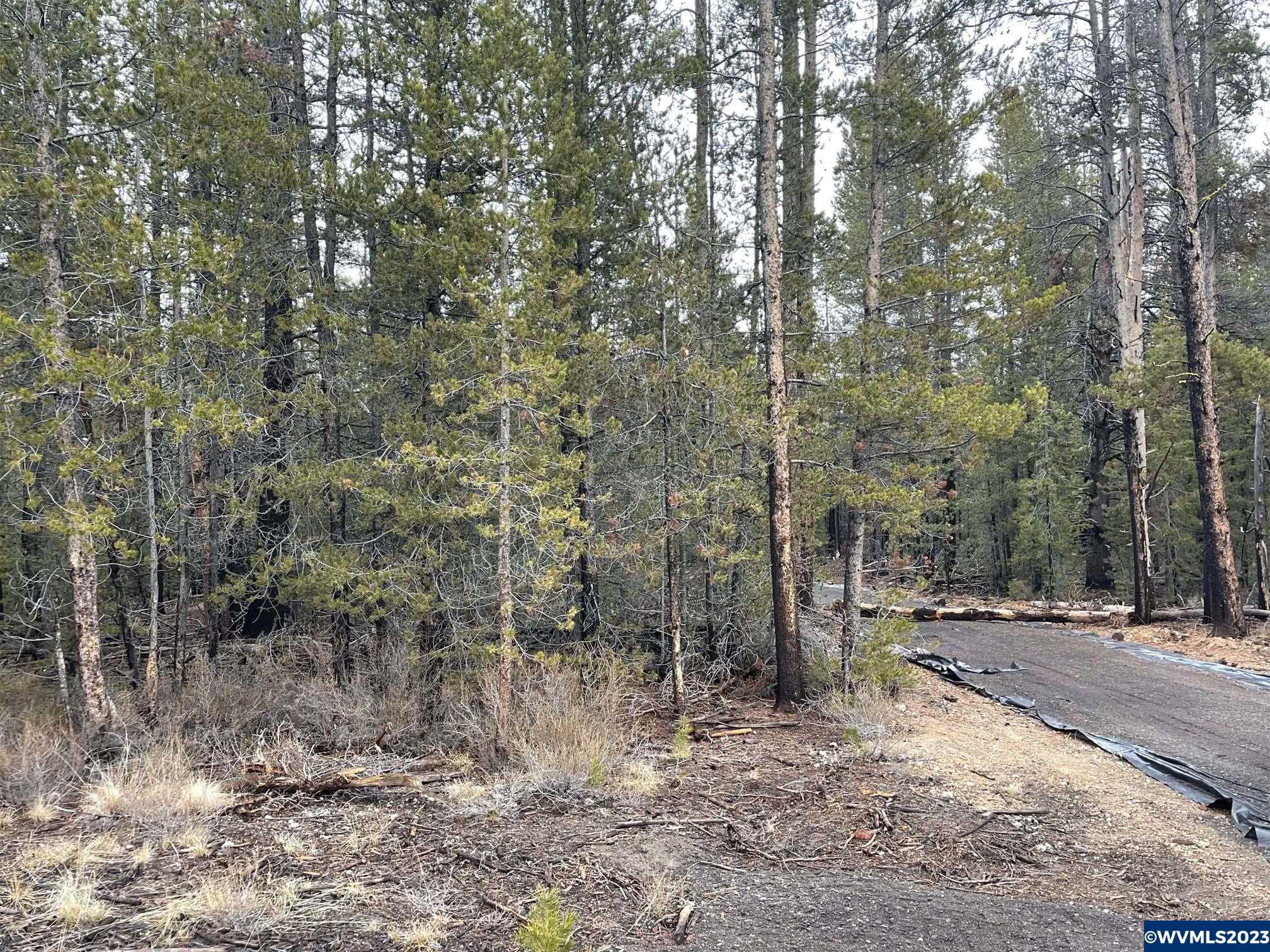 500 Cloudcap Drive Chiloquin, OR 97624 - Photo 1 of 23