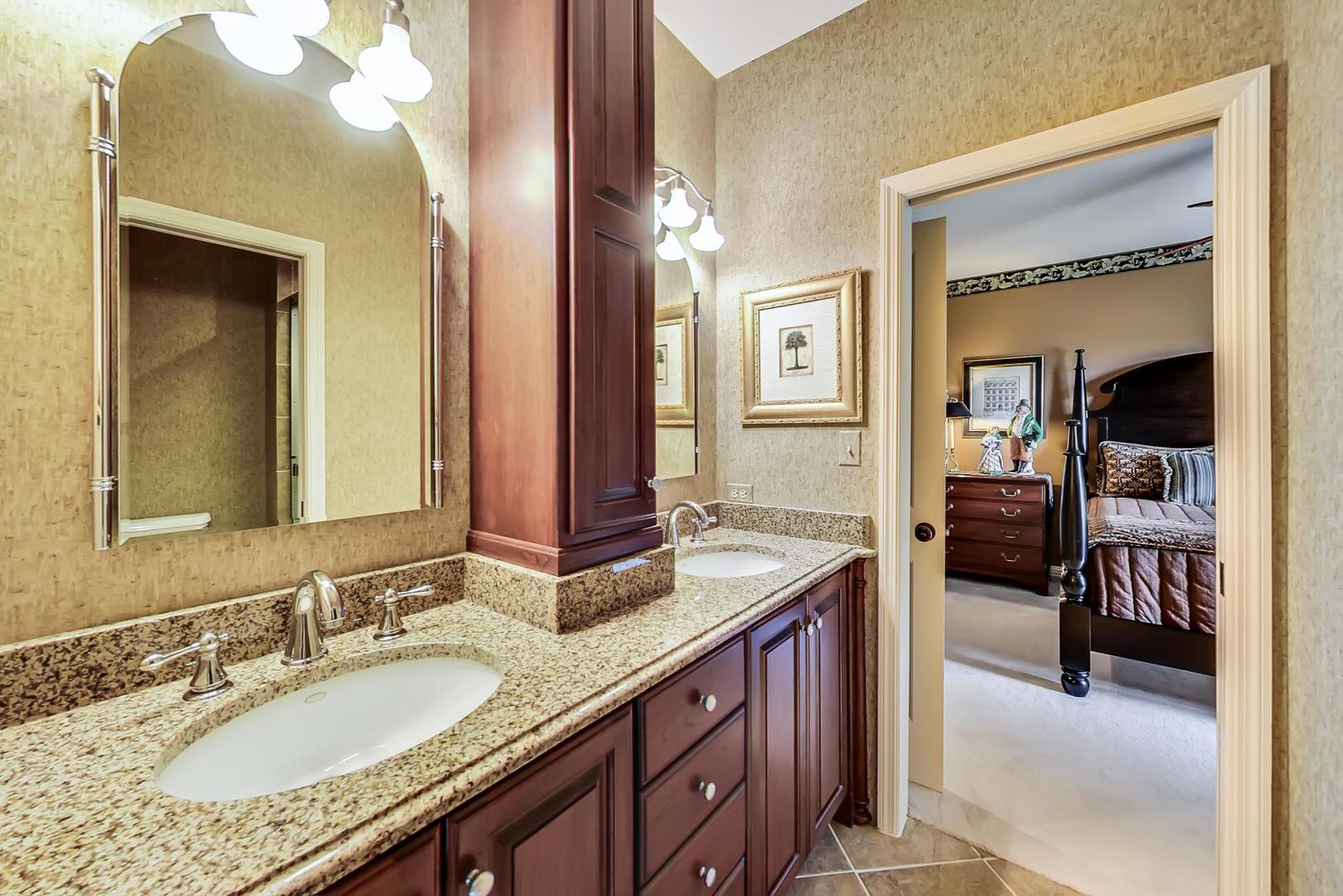 5N198 Dover Hill Road St. Charles, IL 60175 - Photo 46 of 65 a en suite bathroom with a granite countertop sink and a mirror