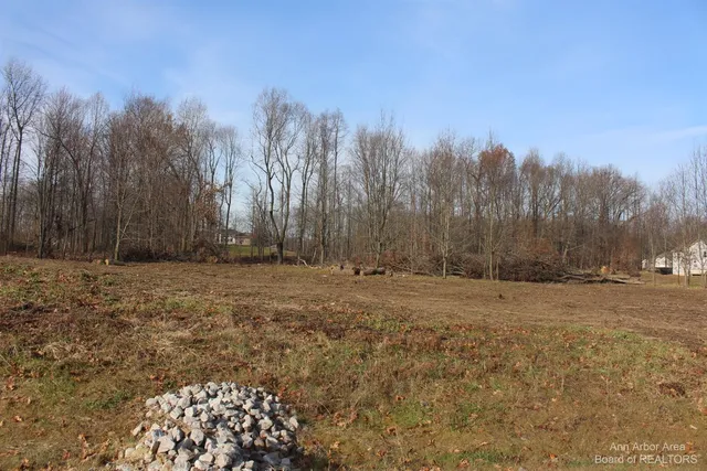 $44,900 | 0 Lindsey Drive, Unit 19, Jackson, MI 49201