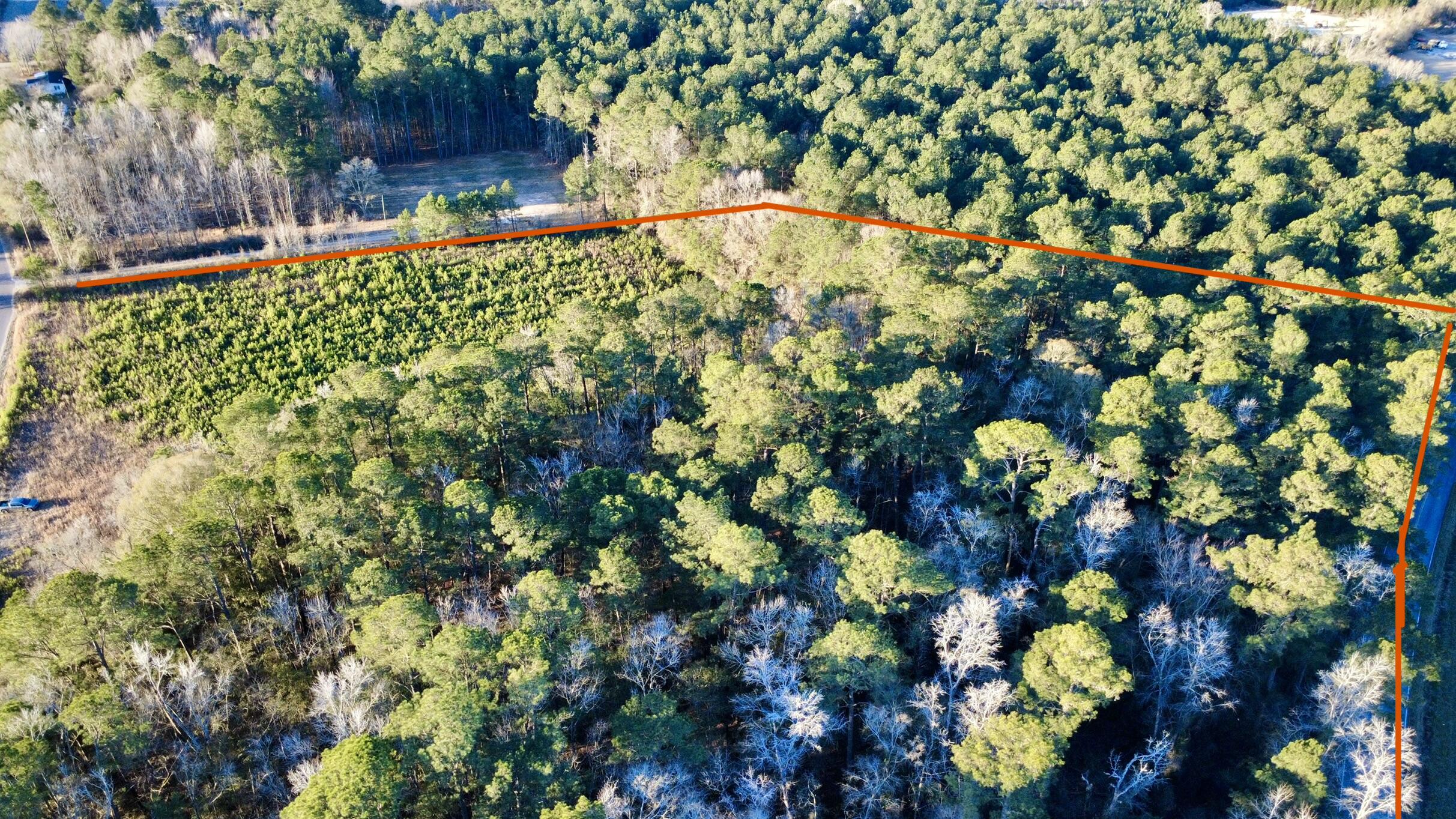 1 Dantzler Road Harleyville, SC 29448 - Photo 2 of 10 dji_fly_20260208_080358_73_1770555973953