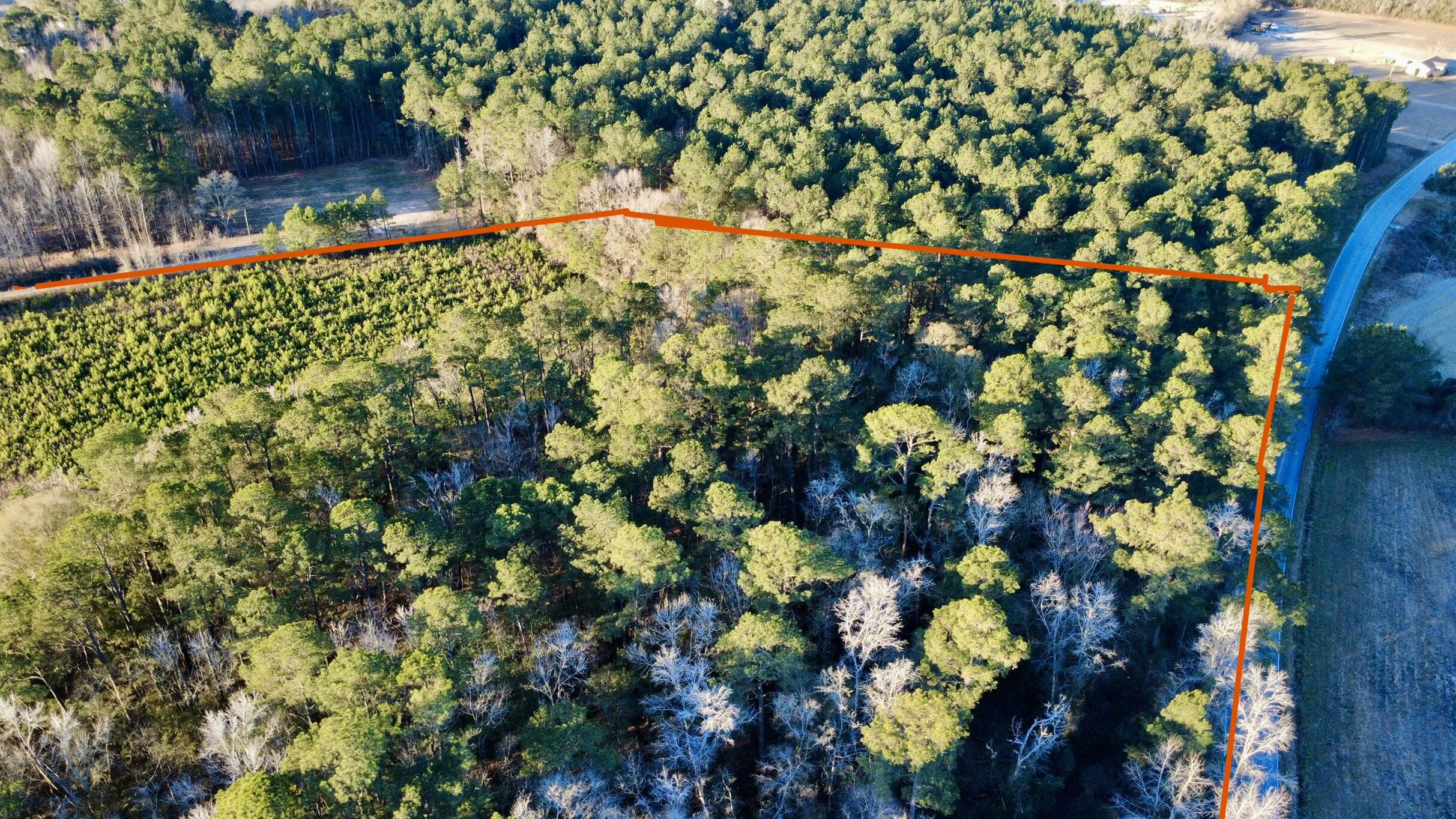 1 Dantzler Road Harleyville, SC 29448 - Photo 3 of 10 IMG_7732