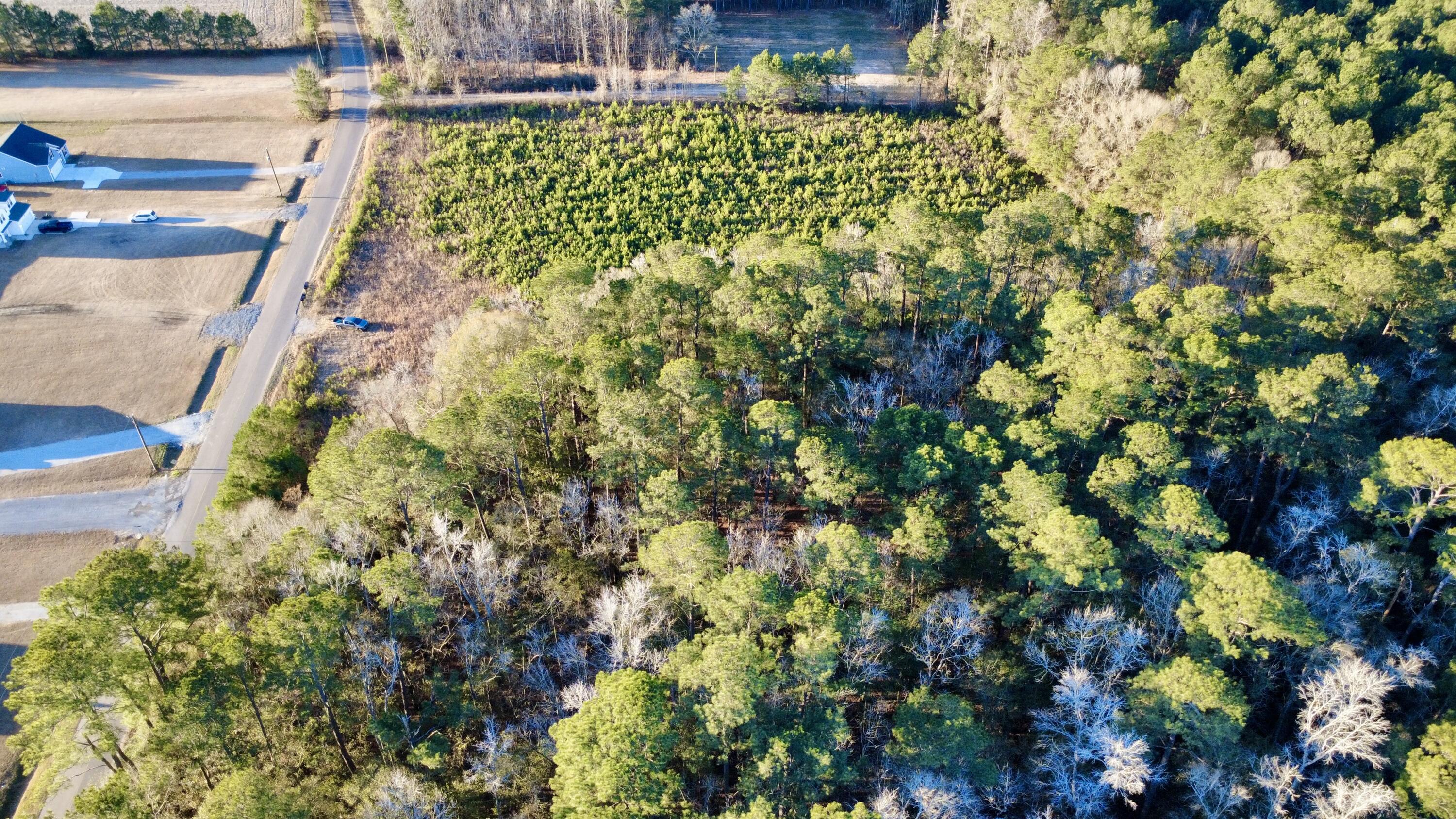 1 Dantzler Road Harleyville, SC 29448 - Photo 4 of 10 IMG_7734