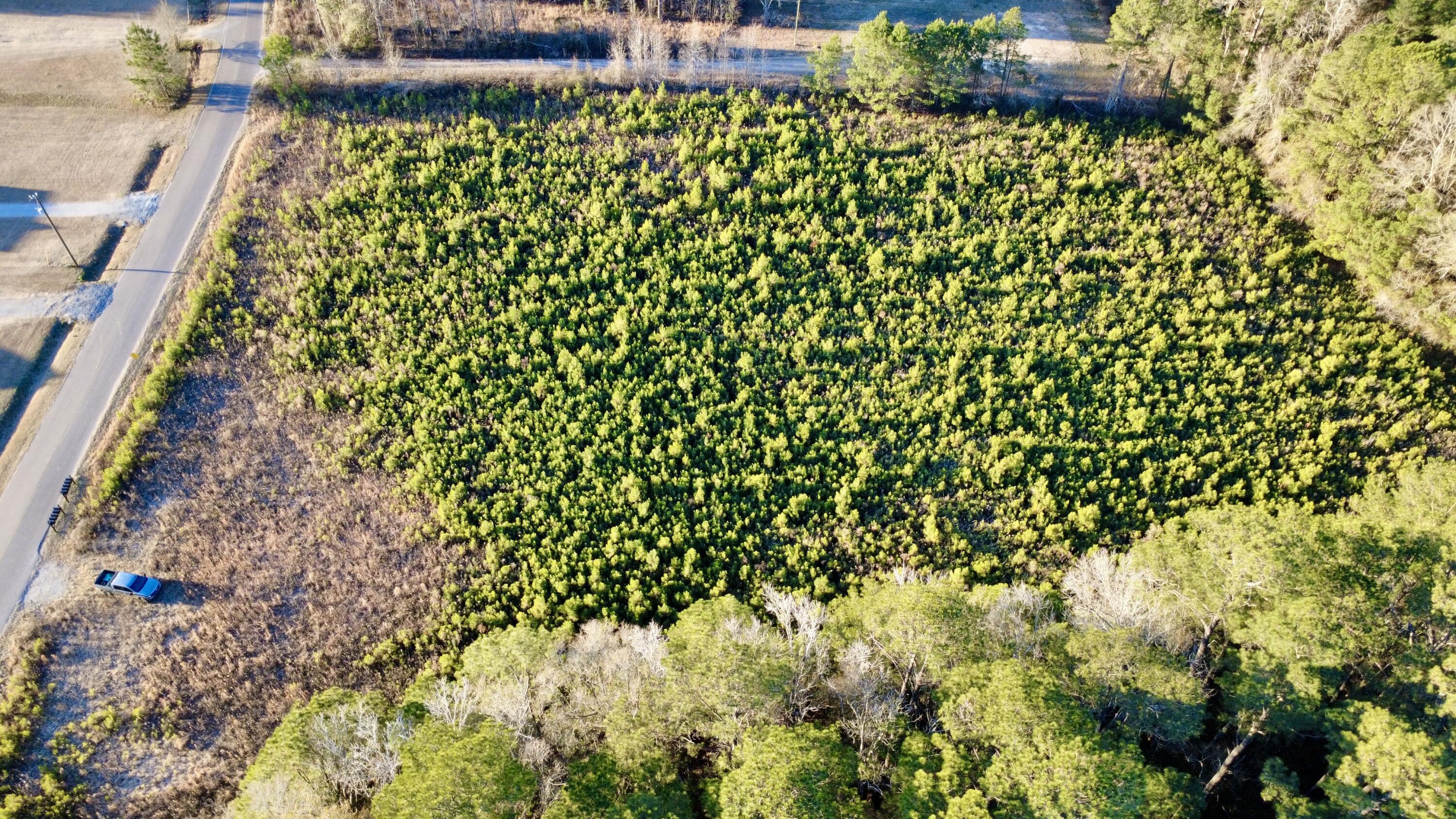 1 Dantzler Road Harleyville, SC 29448 - Photo 5 of 10 IMG_7736