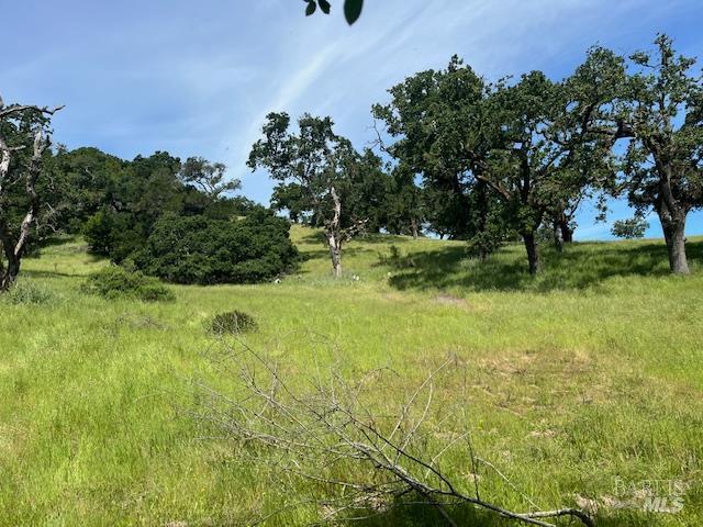 0 Alameda Del Prado Novato, CA 94949 - Photo 11 of 35