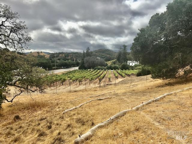 0 Alameda Del Prado Novato, CA 94949 - Photo 11 of 29 View from subject property to the south along Alameda del Prado of the Pacheco Ranch Vineyard property.