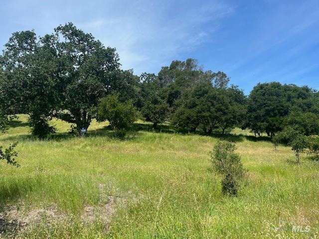 0 Alameda Del Prado Novato, CA 94949 - Photo 12 of 35