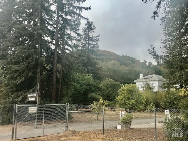 0 Alameda Del Prado Novato, CA 94949 - Photo 13 of 35 Pacheco Ranch Vineyard property to South of subject property.