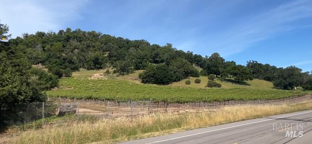 0 Alameda Del Prado Novato, CA 94949 - Photo 14 of 35 Pacheco Ranch Vineyard property to south of subject. Subject property, 22 Acres, includes land areas shown just past the existing vines. For viewing, park just past the vineyard along Alameda Del Prado and follow viewing map.